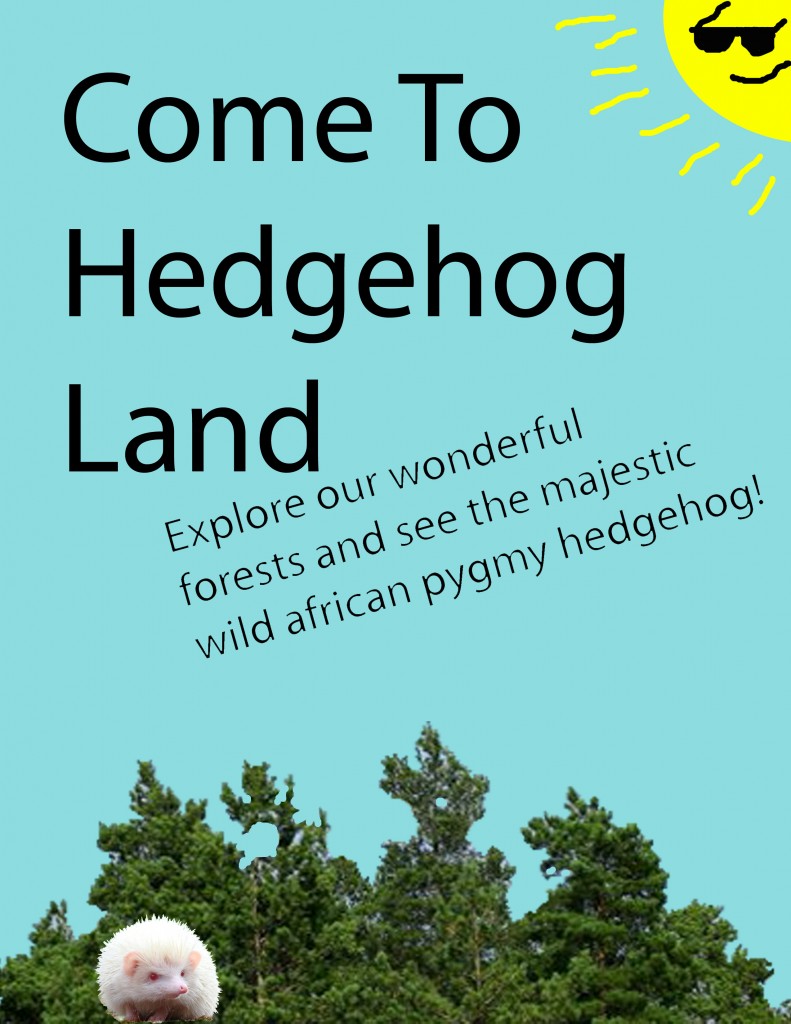 Hedgehog land immagration poster MATHESON