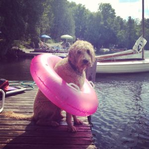 harlowe at the lake