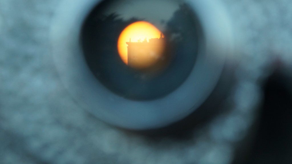 Through a Lense