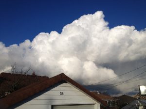 file12613