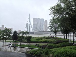 IMG_5497