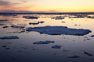 Small broken and unconsolidated floes of sea ice float in the sea between Greenland and Svalbard at sunset.