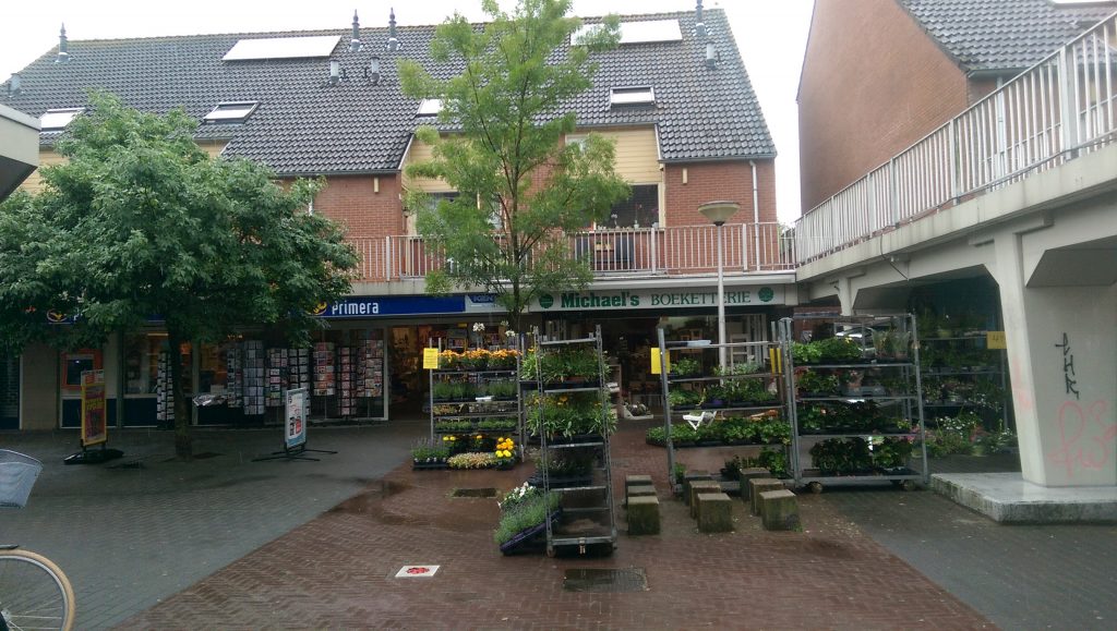 IMAG0969