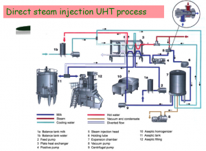 steam processing