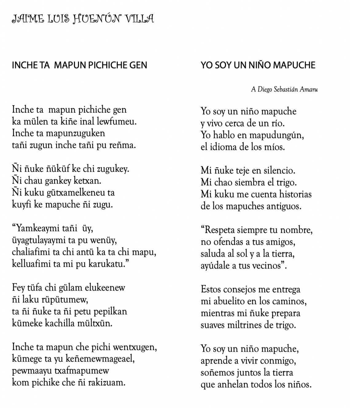 inche-ta-mapun-pichiche-gen-soy-un-ni-o-mapuche-i-am-a-mapuche-child