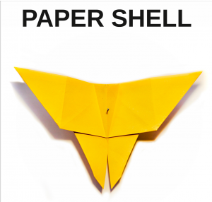 Paper Shell 16 cover