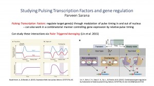 N&V Parveen - Pulse Transcription Factors