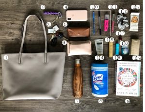 whats in my purse 🎀💐 #pink #coachdemibag #whatsinmypurse #purse #coa, What Is In My Purse