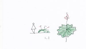 1.1