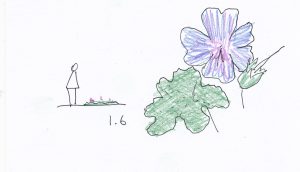 1.6