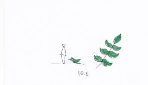 10.6