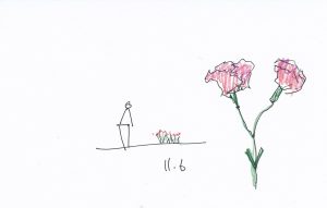 11.6