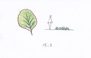 12.3