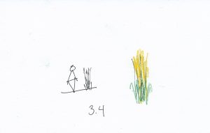 3.4
