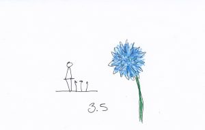 3.5