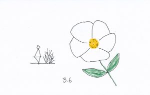 3.6