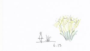 6.13