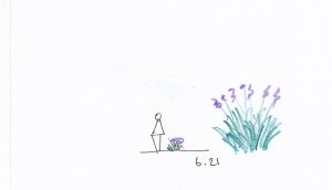 6.21