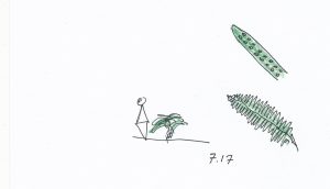 7.17