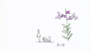 7.17_0001
