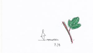 7.18