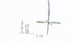 9.24