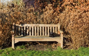 Bench-wallpapers-9.jpg.crdownload