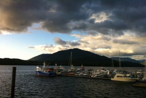 Ships in Cow Bay