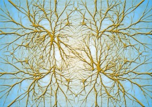 Psyched_MirrorNeurons_Pic