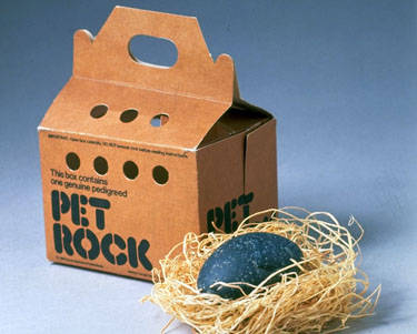 My Pet Rock