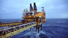 ib-oil11rb