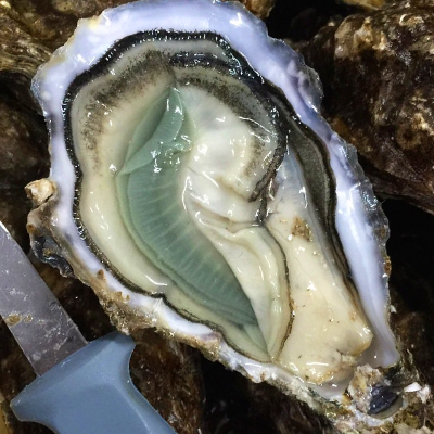 A single oyster’s gills can filter up to 194 litres of seawater in 24 hours! 