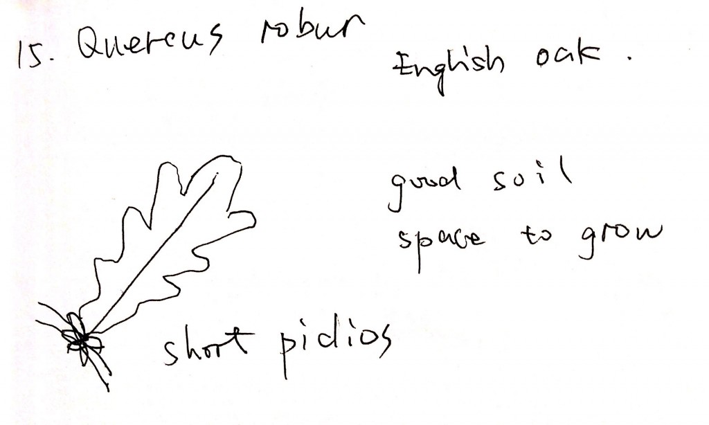 new doc 20_14