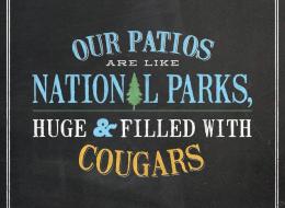n-JACK-ASTORS-large
