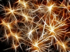 Neurons connecting