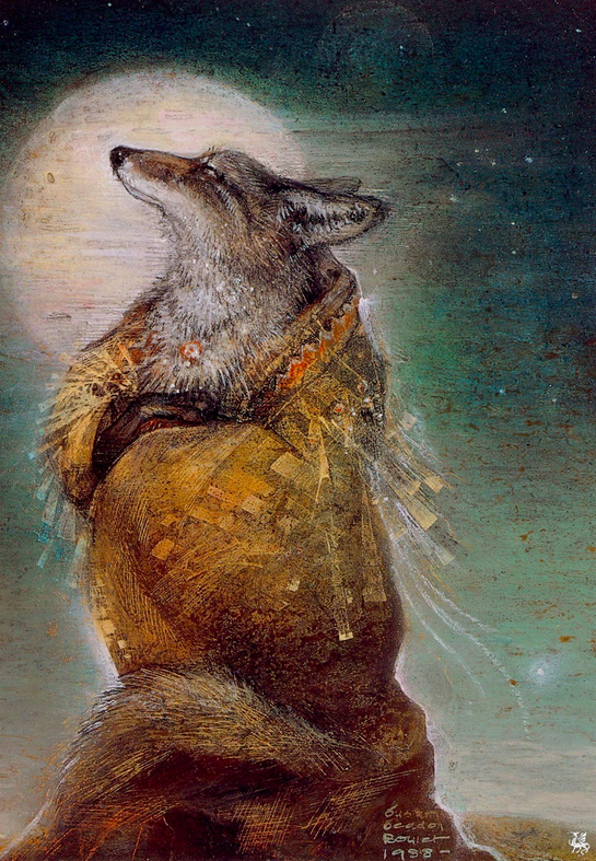 coyote dreaming