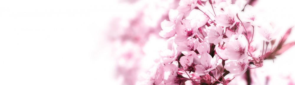 Sanna Ma's Blog 