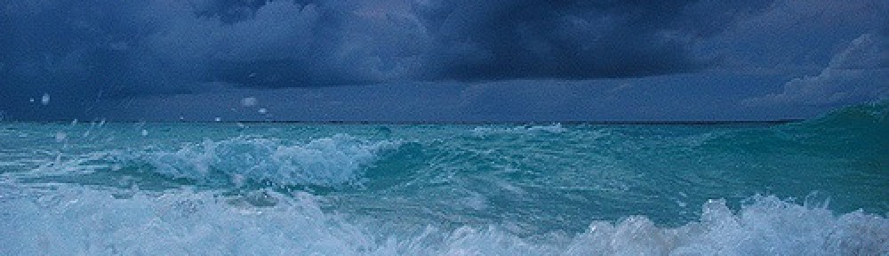 Riding a Sea of Change