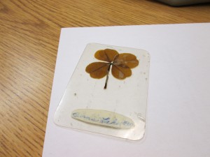 This four-leaf clover, which her mother laminated for her, reminds Sally that things in life will be okay.