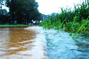 stormwater_meitu_1