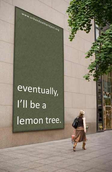 2015-02-23-UDPIllBeaLemonTree-thumb