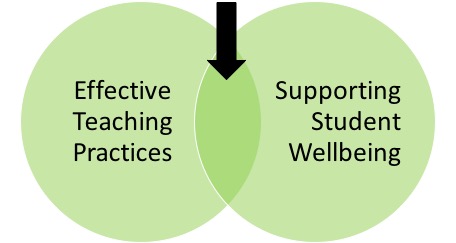 Teaching and Wellbeing