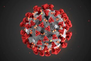 COVID-19 structure. Credits: Newscientist