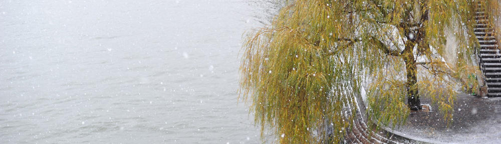 Tianyi Rong's Blog