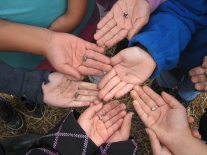Enjoying the outdoor classroom.