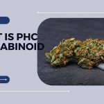 What is PHC Cannabinoid