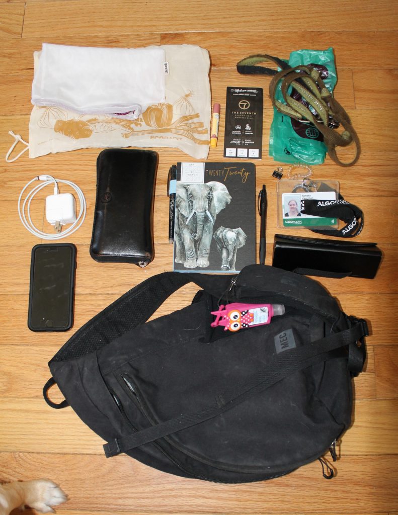An image of the contents of my bag (and the bag itself).