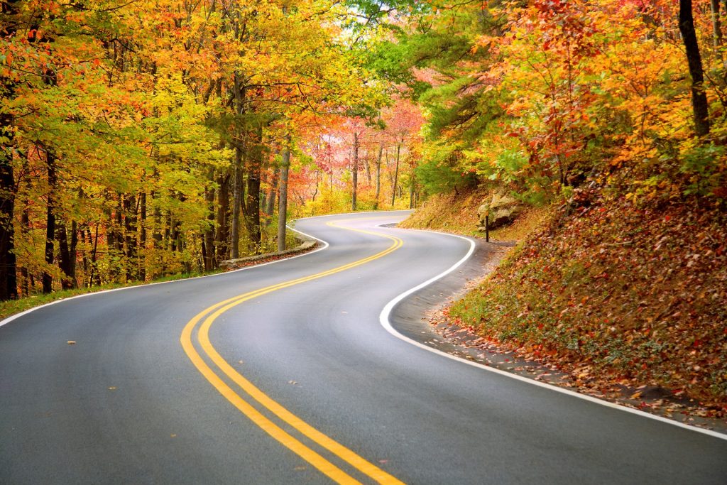 Image of a winding road in the fall