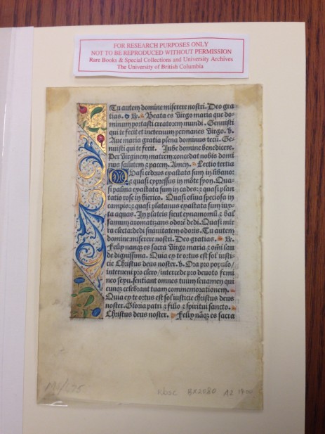 Plate 3
