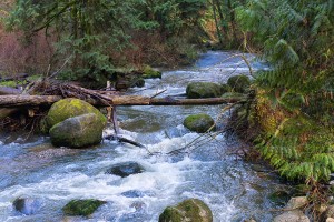water-1239551_1920